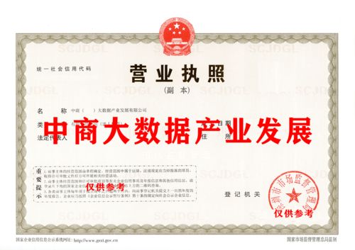 大數據產業公司技術轉讓 機遇、流程與關鍵考量